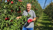 Burgenlands Obstbaupräsident Johann Plemenschits lässt mit einer unkonventionellen Strategie ...