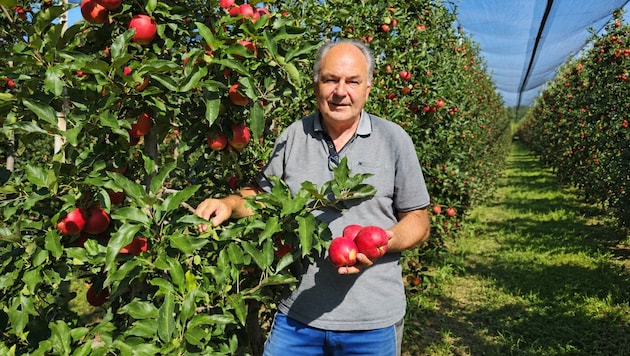 Burgenlands Obstbaupräsident Johann Plemenschits lässt mit einer unkonventionellen Strategie ...