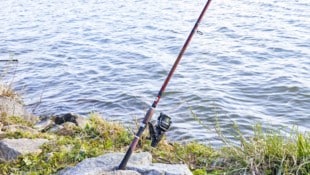 Eine Angler-Runde aus dem Burgenland trauert: „Wir haben unseren besten Freund verloren.“ ...