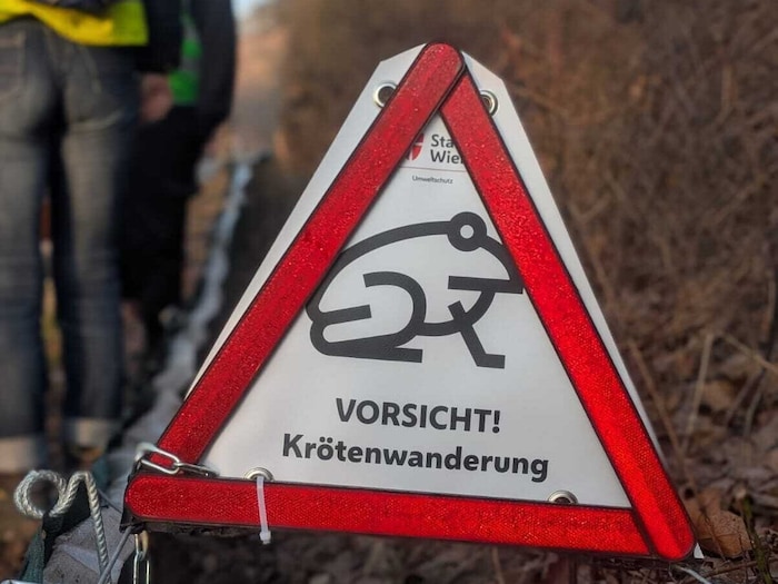 Für viele Tiere endete die Wanderung bislang tödlich