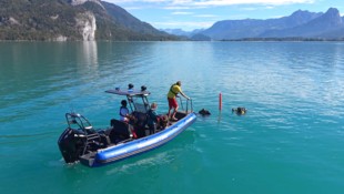 Zehn Taucher waren an der Reinigungsaktion am Wolfgangsee beteiligt. 