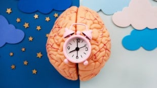 Viele physiologische Vorgänge im Körper werden von der inneren Uhr gesteuert.