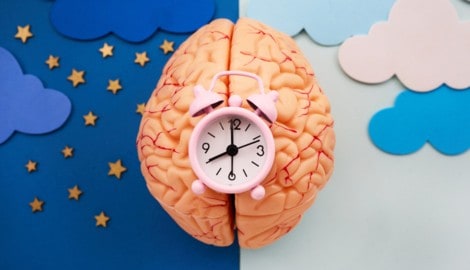 Viele physiologische Vorgänge im Körper werden von der inneren Uhr gesteuert.