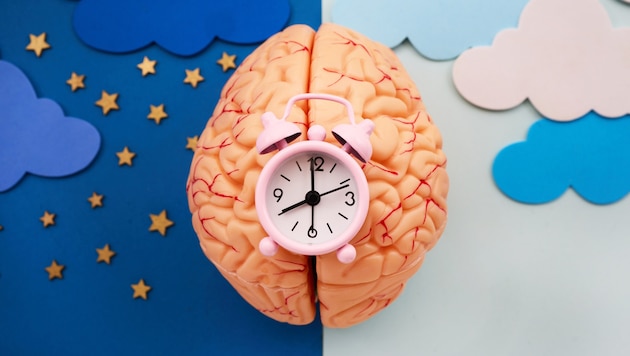Viele physiologische Vorgänge im Körper werden von der inneren Uhr gesteuert.