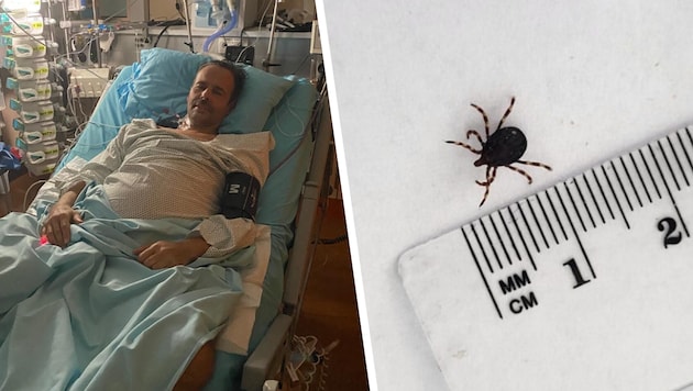 Das Zeckenopfer im Intensivbett des AKH Wien