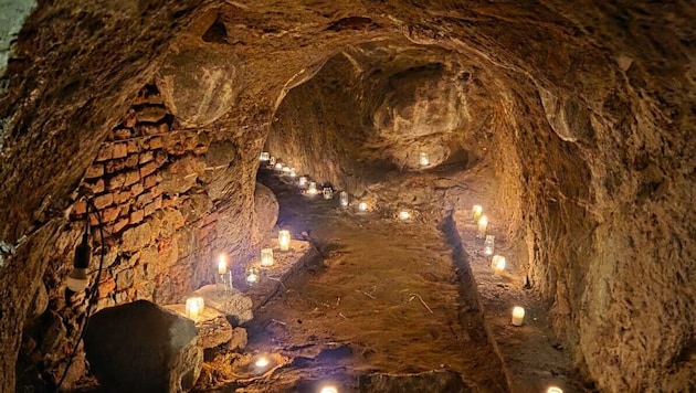 Die Keller Waidhofens wurde für einen Tag ans Licht gebracht. Man hofft auf eine Fortsetzung.