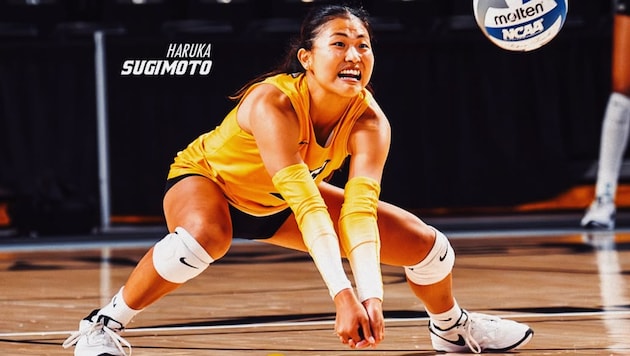 Lernte ihre Linzer Kolleginnen speziell kennen: die Japanerin Haruka Sugimoto.