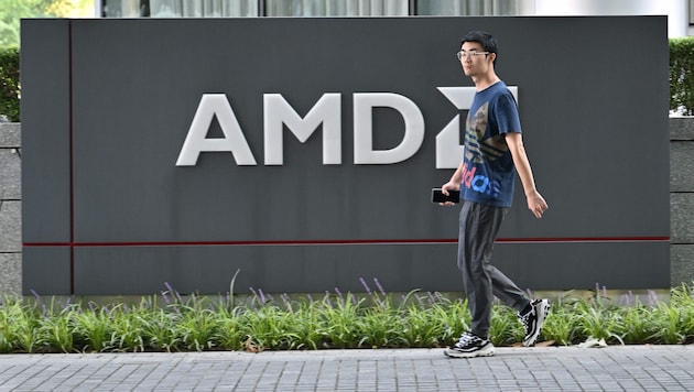 Rivalen wie AMD und Intel konnten sich neben KI-Platzhirsch Nvidia bisher eher kleinere Nischen ...