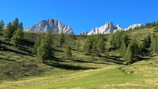 Nur langsam erholt sich die Natur von der langanhaltenden Trockenheit.