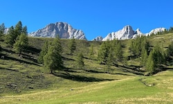 Nur langsam erholt sich die Natur von der langanhaltenden Trockenheit.