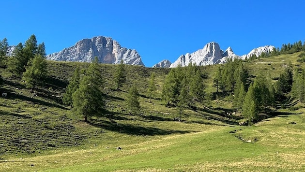 Nur langsam erholt sich die Natur von der langanhaltenden Trockenheit.