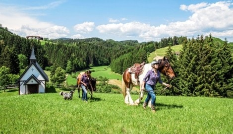 Kurzer Stopp fürs Erinnerungsfoto mit unseren Leihpferden.