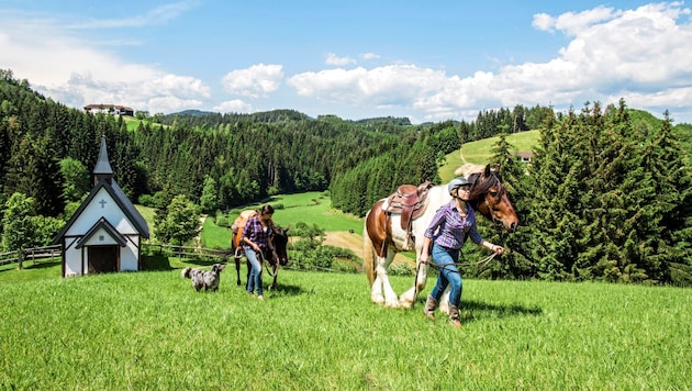 Kurzer Stopp fürs Erinnerungsfoto mit unseren Leihpferden.