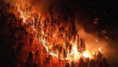 Bald ist es fünf Jahre her, dass in Hirschwang, Bezirk Neunkirchen, der Wald lichterloh und ...