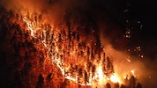 Bald ist es fünf Jahre her, dass in Hirschwang, Bezirk Neunkirchen, der Wald lichterloh und ...