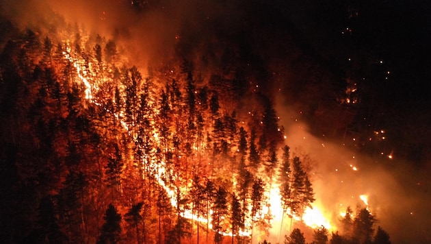 Bald ist es fünf Jahre her, dass in Hirschwang, Bezirk Neunkirchen, der Wald lichterloh und ...