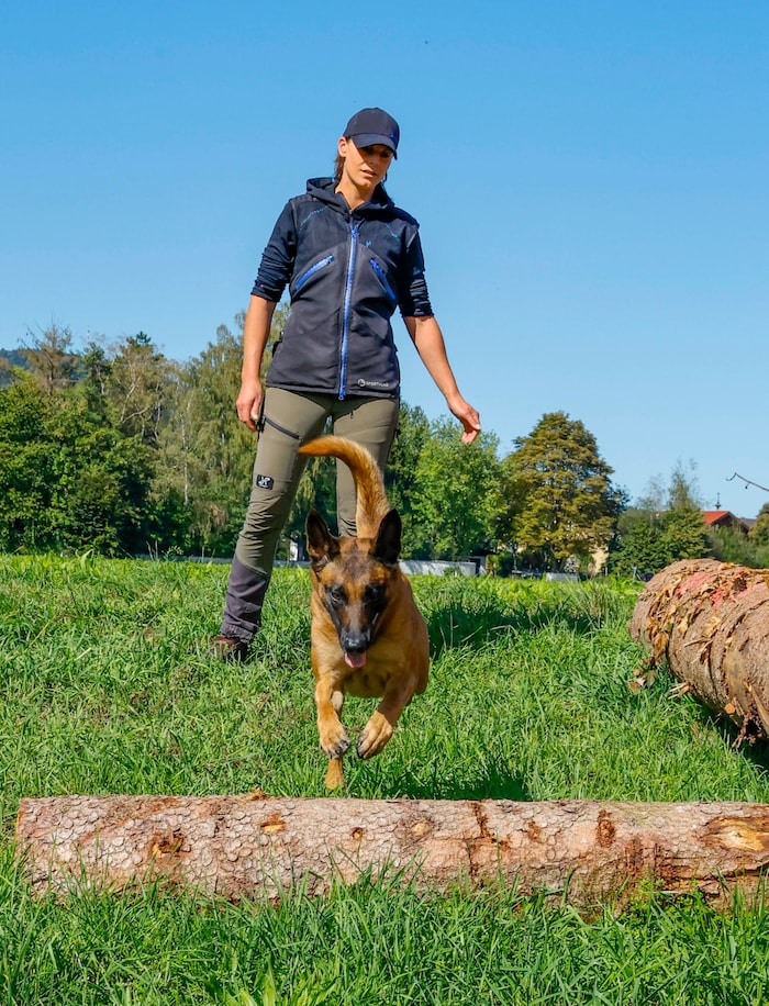Ein tierisches Duo legt los