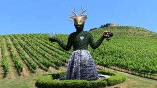 Am 15. Oktober verwandelt sich die Burg Taggenbrunn wieder in eine Zone voller Weingenuss und ...