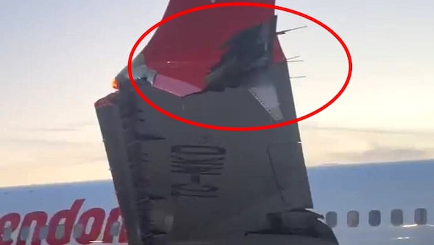 Deutlich zu erkennen ist der Schaden an der Flügelspitze.