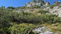 Die Absturzstelle: Das Opfer stürzte rund 40 Meter tief.