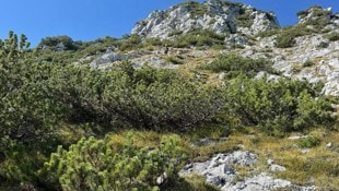 Die Absturzstelle: Das Opfer stürzte rund 40 Meter tief.