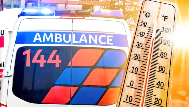 Heuer wurde die 40-Grad-Marke des Öfteren übersprungen – mit fatalen Folgen für Mensch und ...