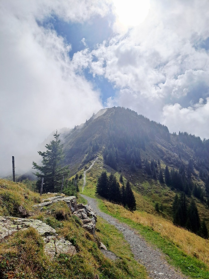 Unterwegs in Richtung Elsenkopf.