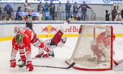 Gegen Bozen landeten die Bulls (Nissner, hinten) wieder am Boden der Tatsachen.