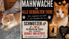 Kater „Schmotzer“ ist Symbolfigur für alle gequälten Tiere.