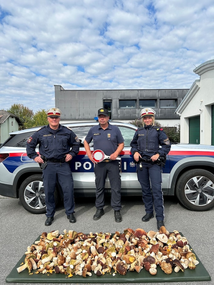 Polizei und Bergwacht stellen insgesamt 30 Kilo Steinpilze sicher.