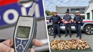Alkolenker und Pilzsammler wurden von der Kärntner Polizei erwischt