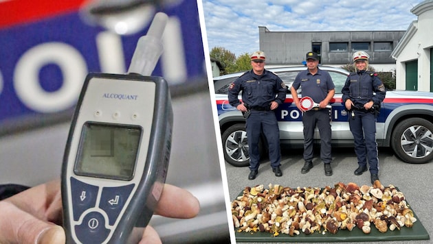 Alkolenker und Pilzsammler wurden von der Kärntner Polizei erwischt