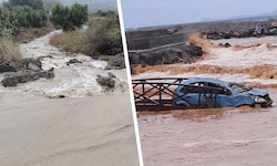 Die Situation auf Kreta sei „wirklich erschreckend“, berichtete eine Urlauberin aus der Schweiz ...