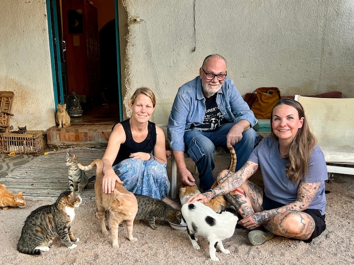 Ein Trio für die Katzen von Dahab: Kominique Steiger, Hans Weiland und Sandy P. Peng sind ein ...