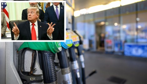 Die G7-Staaten haben sich am Freitag auf die Freigabe von bis zu 100 Millionen Barrel Diesel und ...