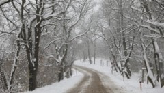 Einer Prognose zufolge könnte bereits im Oktober der erste Schnee fallen (Archivbild).