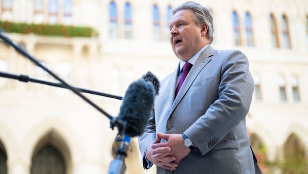 Wiener Bürgermeister stimmte sich in seiner PArtei ab