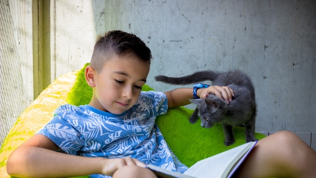 Kinder und Tiere: Eine ganz besondere Verbindung, die oft schon früh beginnt, wie hier im Tiko ...