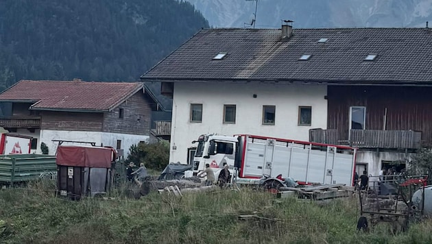 Bei einer Razzia wurden vor gut einer Woche zahlreiche Tiere beschlagnahmt – dennoch blieben ...