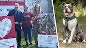 Geschäftsführerin Alexandra Leitold (re.), Thomas Kainz und Victoria Bischof bitten um ...