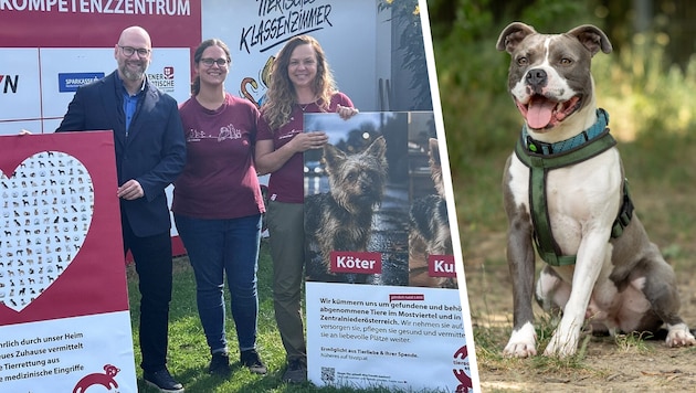 Geschäftsführerin Alexandra Leitold (re.), Thomas Kainz und Victoria Bischof bitten um ...