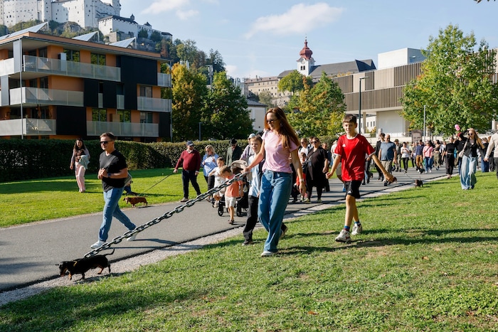 Hunde und Besitzer sowie viele Schaulustige waren mit dabei