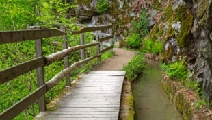 Der Maiser Waalweg ist ein historischer Wanderweg in der Nähe der Gemeinde Riffian bei Meran. ...