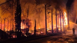 Flammen schlagen über einem Campingplatz am Gardasee empor: Der Großbrach brach in den frühen ...