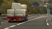 Viele Bauern sind gezwungen, Futter anzukaufen. 