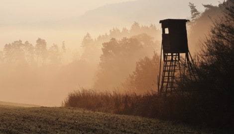 Die Bluttat ereignete sich in einem Waldgebiet nahe der schwedischen Grenze.