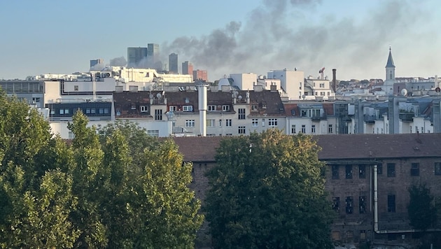Bilder zeigen, wie dichter Rauch über Wien aufsteigt.