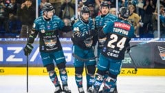 Die Black Wings ließen dem KAC keine Chance.