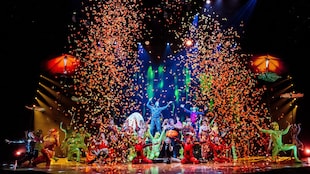 Cirque du Soleil