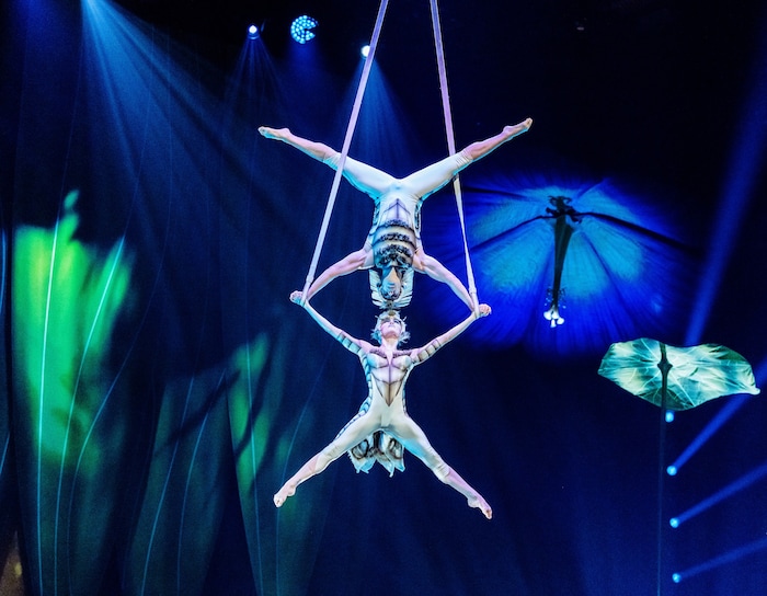 Im Frühjahr ist die Show wieder in Wien zu sehen – von 28.4 bis 2.5 in der Stadthalle.
